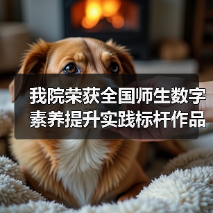 我院荣获全国师生数字素养提升实践标杆作品(图3) 我院荣获全国师生数字素养提升实践标杆作品(图3)