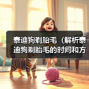 泰迪狗剃胎毛(解析泰迪狗剃胎毛的时间和方法)(图4) 泰迪狗剃胎毛(解析泰迪狗剃胎毛的时间和方法)(图4)
