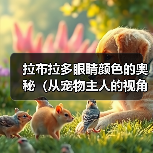拉布拉多眼睛颜色的奥秘(从宠物主人的视角探讨拉布拉多眼睛的颜色变化)(图4) 拉布拉多眼睛颜色的奥秘(从宠物主人的视角探讨拉布拉多眼睛的颜色变化)(图4)