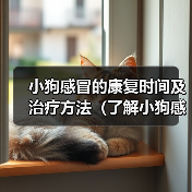 小狗感冒的康复时间及治疗方法(了解小狗感冒的症状与治愈时间,保护你的毛小孩)(图1) 小狗感冒的康复时间及治疗方法(了解小狗感冒的症状与治愈时间,保护你的毛小孩)(图1)