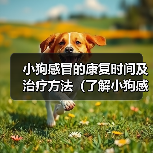 小狗感冒的康复时间及治疗方法(了解小狗感冒的症状与治愈时间,保护你的毛小孩)(图4) 小狗感冒的康复时间及治疗方法(了解小狗感冒的症状与治愈时间,保护你的毛小孩)(图4)