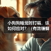 小狗狗睡觉时打嗝，该如何应对？（有效缓解小狗狗打嗝的方法）（图1）