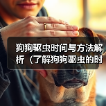 狗狗驱虫时间与方法解析(了解狗狗驱虫的时间表和适用方法,守护爱宠健康)(图1) 狗狗驱虫时间与方法解析(了解狗狗驱虫的时间表和适用方法,守护爱宠健康)(图1)