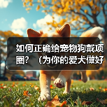 如何正确给宠物狗戴项圈?(为你的爱犬做好这些准备!)(图3) 如何正确给宠物狗戴项圈?(为你的爱犬做好这些准备!)(图3)