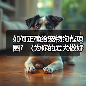 如何正确给宠物狗戴项圈?(为你的爱犬做好这些准备!)(图1) 如何正确给宠物狗戴项圈?(为你的爱犬做好这些准备!)(图1)