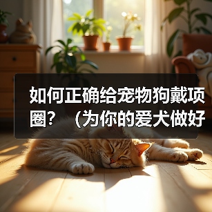 如何正确给宠物狗戴项圈?(为你的爱犬做好这些准备!)(图2) 如何正确给宠物狗戴项圈?(为你的爱犬做好这些准备!)(图2)