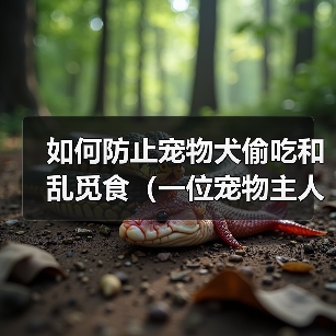 如何防止宠物犬偷吃和乱觅食(一位宠物主人的经验分享,教你科学喂养宠物)(图3) 如何防止宠物犬偷吃和乱觅食(一位宠物主人的经验分享,教你科学喂养宠物)(图3)