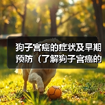 狗子宫癌的症状及早期预防(了解狗子宫癌的常见症状,提早预防保护您的毛孩)(图2) 狗子宫癌的症状及早期预防(了解狗子宫癌的常见症状,提早预防保护您的毛孩)(图2)