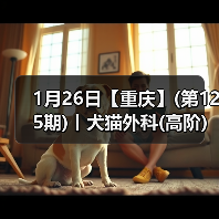 1月26日【重庆】(第125期)丨犬猫外科(高阶)班!含SUB(人人可实操)、乳糜胸等技术!(图2) 1月26日【重庆】(第125期)丨犬猫外科(高阶)班!含SUB(人人可实操)、乳糜胸等技术!(图2)