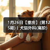 1月26日【重庆】(第125期)丨犬猫外科(高阶)班!含SUB(人人可实操)、乳糜胸等技术!(图4) 1月26日【重庆】(第125期)丨犬猫外科(高阶)班!含SUB(人人可实操)、乳糜胸等技术!(图4)