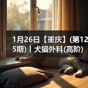 1月26日【重庆】(第125期)丨犬猫外科(高阶)班!含SUB(人人可实操)、乳糜胸等技术!(图1) 1月26日【重庆】(第125期)丨犬猫外科(高阶)班!含SUB(人人可实操)、乳糜胸等技术!(图1)