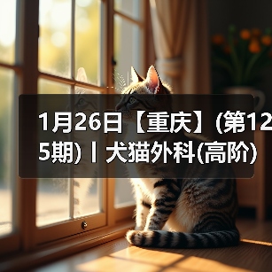 1月26日【重庆】(第125期)丨犬猫外科(高阶)班!含SUB(人人可实操)、乳糜胸等技术!(图3) 1月26日【重庆】(第125期)丨犬猫外科(高阶)班!含SUB(人人可实操)、乳糜胸等技术!(图3)
