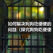 如何解决狗狗吃便便的问题（探究狗狗吃便便的原因及矫正方法）（图1）