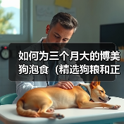 如何为三个月大的博美狗泡食(精选狗粮和正确泡法,让宠物更健康)(图3) 如何为三个月大的博美狗泡食(精选狗粮和正确泡法,让宠物更健康)(图3)