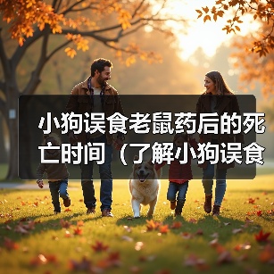 小狗误食老鼠药后的死亡时间（了解小狗误食老鼠药后的危险性与处理方法）（图3）