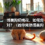 博美狗犯桃花,如何应对?(教你预防博美狗犯桃花的技巧和方法)(图4) 博美狗犯桃花,如何应对?(教你预防博美狗犯桃花的技巧和方法)(图4)