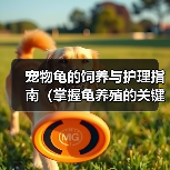 宠物龟的饲养与护理指南（掌握龟养殖的关键技巧，让你的宠物龟健康成长）（图1）