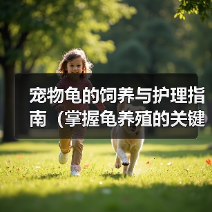 宠物龟的饲养与护理指南（掌握龟养殖的关键技巧，让你的宠物龟健康成长）（图4）