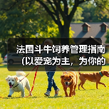 法国斗牛饲养管理指南(以爱宠为主,为你的法国斗牛提供最佳的生活环境)(图3) 法国斗牛饲养管理指南(以爱宠为主,为你的法国斗牛提供最佳的生活环境)(图3)
