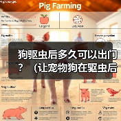 狗驱虫后多久可以出门?(让宠物狗在驱虫后安全出门的最佳时间点)(图1) 狗驱虫后多久可以出门?(让宠物狗在驱虫后安全出门的最佳时间点)(图1)