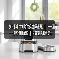 外科中阶实操班|一猫一狗训练|技能提升(图1) 外科中阶实操班|一猫一狗训练|技能提升(图1)