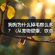 狗狗为什么掉毛那么多?(从宠物健康、饮食、毛发周期、环境等方面来探讨)(图1) 狗狗为什么掉毛那么多?(从宠物健康、饮食、毛发周期、环境等方面来探讨)(图1)