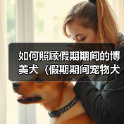 如何照顾假期期间的博美犬（假期期间宠物犬的饮食、运动、训练和安全等问题）（图2）