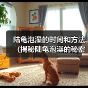 陆龟泡澡的时间和方法（揭秘陆龟泡澡的秘密，探讨适宜的泡澡时间）（图2）