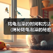 陆龟泡澡的时间和方法（揭秘陆龟泡澡的秘密，探讨适宜的泡澡时间）（图3）