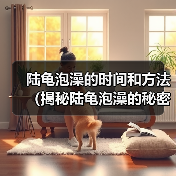 陆龟泡澡的时间和方法（揭秘陆龟泡澡的秘密，探讨适宜的泡澡时间）（图4）