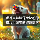 喂养吉娃娃仔犬奶粉的技巧(宠物的健康需求和喂养技巧)(图2) 喂养吉娃娃仔犬奶粉的技巧(宠物的健康需求和喂养技巧)(图2)