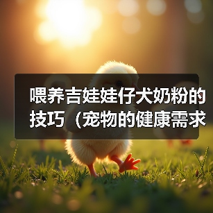 喂养吉娃娃仔犬奶粉的技巧(宠物的健康需求和喂养技巧)(图1) 喂养吉娃娃仔犬奶粉的技巧(宠物的健康需求和喂养技巧)(图1)
