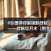 8张图带你解锁新技能——膀胱切开术（附手术视频）（图4）