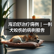 海泊舒治疗病例 | 一例犬咬伤的病例报告(图2) 海泊舒治疗病例 | 一例犬咬伤的病例报告(图2)