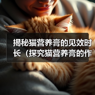 揭秘猫营养膏的见效时长（探究猫营养膏的作用和效果，了解宠物猫所需的摄入时间）（图1）