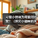 可爱小猫咪为何爱爬纱窗?(探究小猫咪的天性和行为特征,解析为什么小猫咪喜欢爬纱窗)(图4) 可爱小猫咪为何爱爬纱窗?(探究小猫咪的天性和行为特征,解析为什么小猫咪喜欢爬纱窗)(图4)