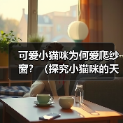 可爱小猫咪为何爱爬纱窗?(探究小猫咪的天性和行为特征,解析为什么小猫咪喜欢爬纱窗)(图2) 可爱小猫咪为何爱爬纱窗?(探究小猫咪的天性和行为特征,解析为什么小猫咪喜欢爬纱窗)(图2)