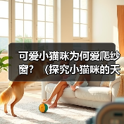 可爱小猫咪为何爱爬纱窗?(探究小猫咪的天性和行为特征,解析为什么小猫咪喜欢爬纱窗)(图3) 可爱小猫咪为何爱爬纱窗?(探究小猫咪的天性和行为特征,解析为什么小猫咪喜欢爬纱窗)(图3)