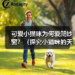可爱小猫咪为何爱爬纱窗?(探究小猫咪的天性和行为特征,解析为什么小猫咪喜欢爬纱窗)(图1) 可爱小猫咪为何爱爬纱窗?(探究小猫咪的天性和行为特征,解析为什么小猫咪喜欢爬纱窗)(图1)
