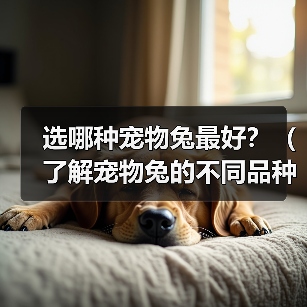 选哪种宠物兔最好?(了解宠物兔的不同品种,选择最适合自己的小伙伴)(图1) 选哪种宠物兔最好?(了解宠物兔的不同品种,选择最适合自己的小伙伴)(图1)