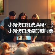 小狗伤口能洗澡吗?(小狗伤口洗澡的时间要掌握好)(图1) 小狗伤口能洗澡吗?(小狗伤口洗澡的时间要掌握好)(图1)