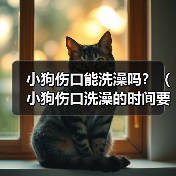小狗伤口能洗澡吗?(小狗伤口洗澡的时间要掌握好)(图4) 小狗伤口能洗澡吗?(小狗伤口洗澡的时间要掌握好)(图4)