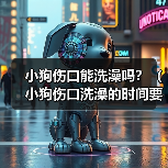 小狗伤口能洗澡吗?(小狗伤口洗澡的时间要掌握好)(图3) 小狗伤口能洗澡吗?(小狗伤口洗澡的时间要掌握好)(图3)