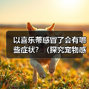以喜乐蒂感冒了会有哪些症状？（探究宠物感冒症状，提高宠物健康）（图4）