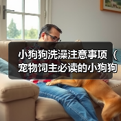 小狗狗洗澡注意事项（宠物饲主必读的小狗狗洗澡全攻略）（图1）