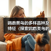 鹦鹉类鸟的多样品种及特征(探索鹦鹉类鸟的丰富多样性及特点)(图1) 鹦鹉类鸟的多样品种及特征(探索鹦鹉类鸟的丰富多样性及特点)(图1)