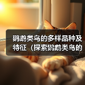 鹦鹉类鸟的多样品种及特征(探索鹦鹉类鸟的丰富多样性及特点)(图4) 鹦鹉类鸟的多样品种及特征(探索鹦鹉类鸟的丰富多样性及特点)(图4)