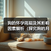 狗的怀孕周期及其影响因素解析（探究狗的月经周期、受孕时间和繁殖能力，）（图3）