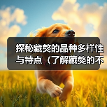 探秘藏獒的品种多样性与特点(了解藏獒的不同种类及其独特之处)(图3) 探秘藏獒的品种多样性与特点(了解藏獒的不同种类及其独特之处)(图3)