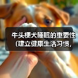 牛头梗犬睡眠的重要性(建立健康生活习惯,让宠物更健康)(图2) 牛头梗犬睡眠的重要性(建立健康生活习惯,让宠物更健康)(图2)
